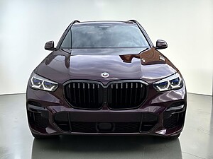 BMW X5 xDrive30d foto 2